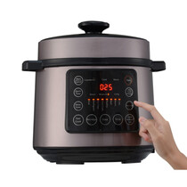 ELBA PRESSURE COOKER 6L  (EPC-N6082(BR))