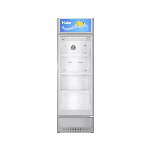 HAIER SHOWCASE 245L (SC-248E)