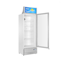 HAIER SHOWCASE 339L (SC-348E)