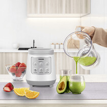 TOSHIBA BLENDER 2.0L 700W (BL-70PR1NMY)